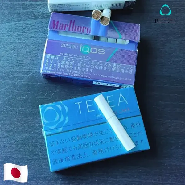 【特濃原味】日本版 TEREA煙彈 IQOS ILUMA專用 IQOS煙彈 純正濃郁 整條煙(10包):圖片 3